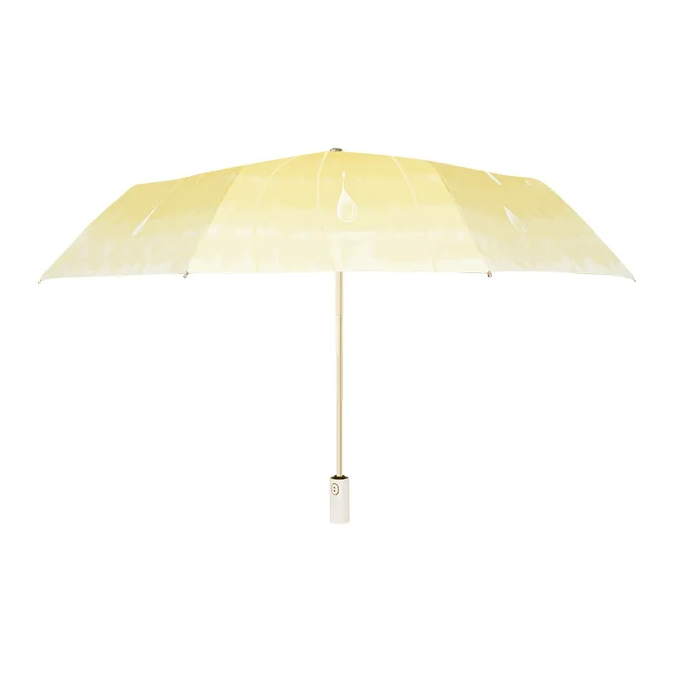 Mrs. Luban Umbrellas-8