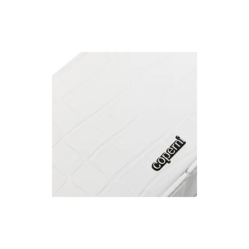 COPERNI Small Sound Swipe Tote Bag-2