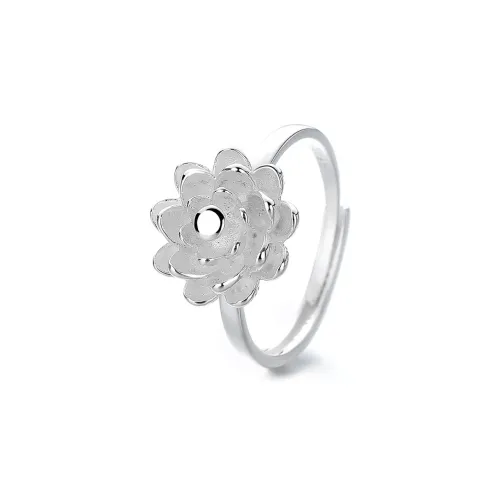 Modern Miracle S925 Silver Rings Women's
