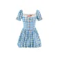 Blue Plaid Dress