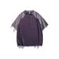 Gray Purple Red