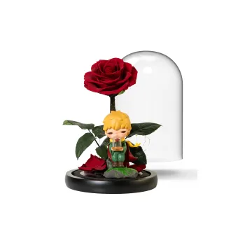 [Set Scenery & Resculpt] POP MART HIRONO X LePetit Prince Collection The Little Prince ONLY U Hang Tag Box 10cm