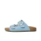 Dusty Blue