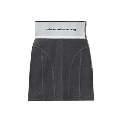 Alexander Wang Casual Short Skirts Women's Carbon Black
