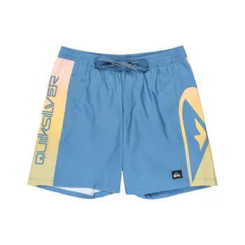 Quiksilver Everyday Holmes Swimming Shorts Men's Blue