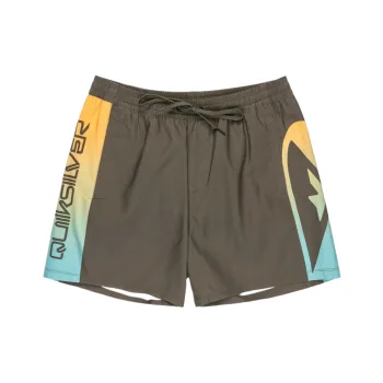 Quiksilver Everyday Holmes Swimming Shorts Men's Olive Green
