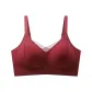 1 Pack (Carall Red)
