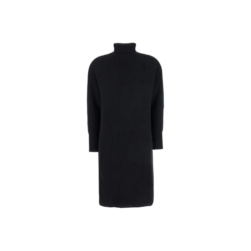 MaxMara Studio Turtleneck Long Sleeved Dress-0