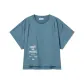 HD9/Blue Gray