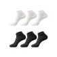 Black Short Mesh 3 White Short Mesh 3