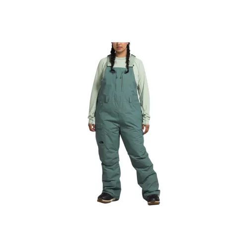 THE NORTH FACE Women's's Plus Freedom Insulated Bibs