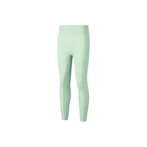 Skechers Sportlife SS25 Knitted Sweatpants Women's Smoke Green 0312
