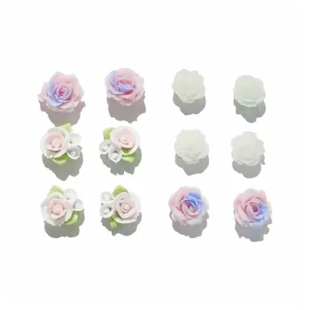 Universe Search Resin Stud Earrings Women's