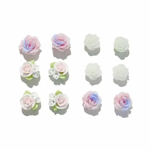 Universe Search Resin Stud Earrings Women's