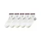 5 Pack (Taro Purple)