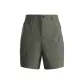 Light Gray Green