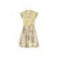 Green New Chinese Style Flying Sleeve Dress