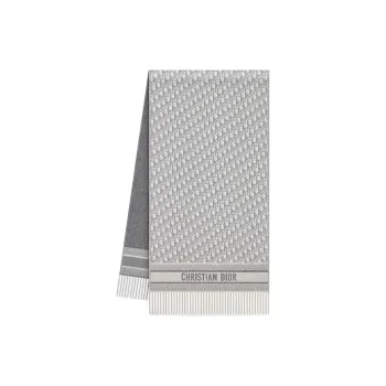 DIOR Cashmere Scarves Unisex Gray