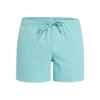 Quiksilver Everyday Flex Volley Beach Shorts Men's Light Blue