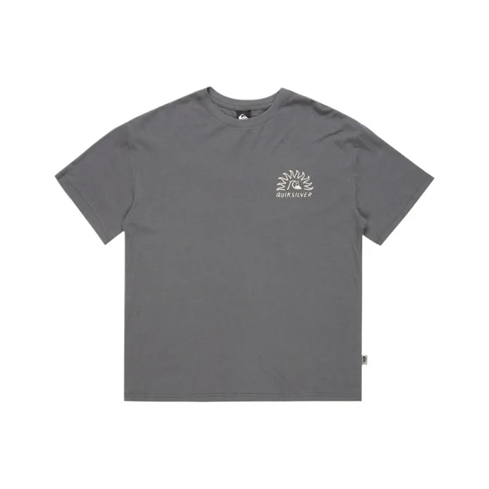 Quiksilver CL Freedom Swell T Shirt Men's Gray-0