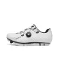 White Mountain Sole