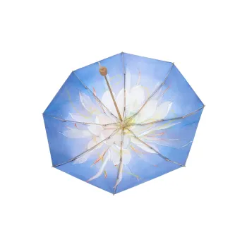 Mrs. Luban Umbrellas