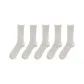 5-Pack (5 White)