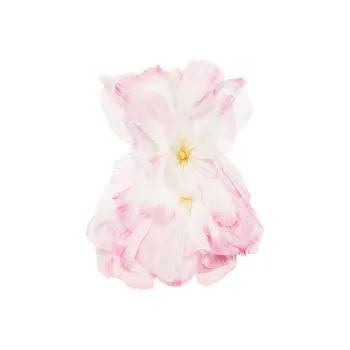 Oscar De La Renta Petal-appliqué Organza Minidress