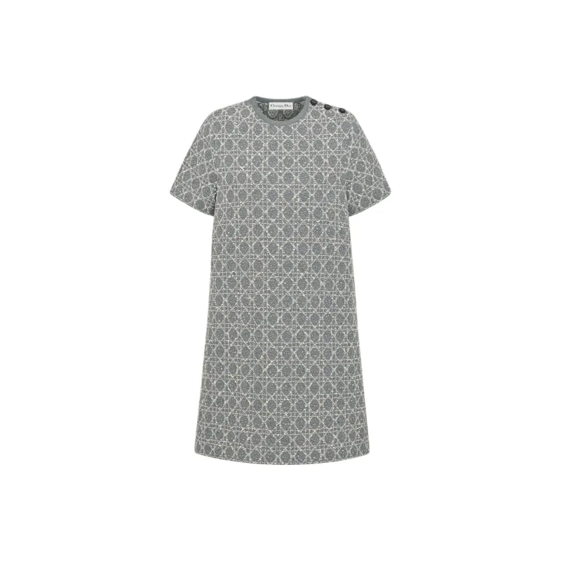 DIOR FW25 Short Sleeved Dress Women's Gray-0