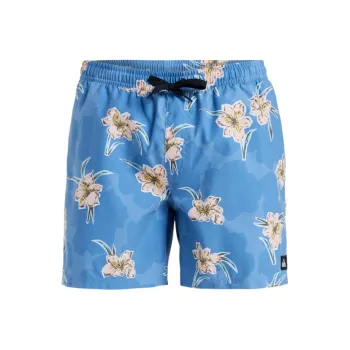 Quiksilver Everyday Straight Swimming Shorts Men's Blue