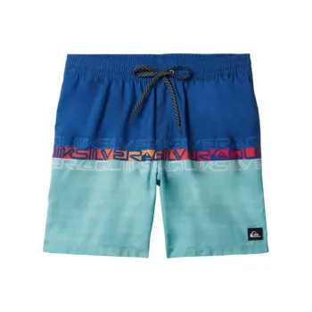 Quiksilver Everyday Wordblock Volley Swimming Shorts Men's Blue