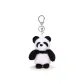 Black Panda