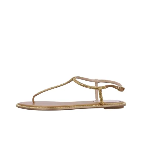 RENE CAOVILLA Diana One Strap Sandals Women's Gold