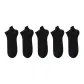 5 Pack[5 Pack Navy Blue]
