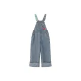 Denim Blue Indigo