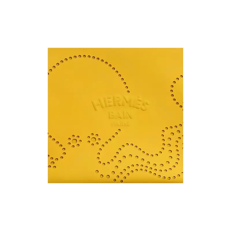 HERMES Neobain Waves Chamonix Calfskin Clutch Small Size Women's Yellow-2