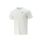 White Birch Gray