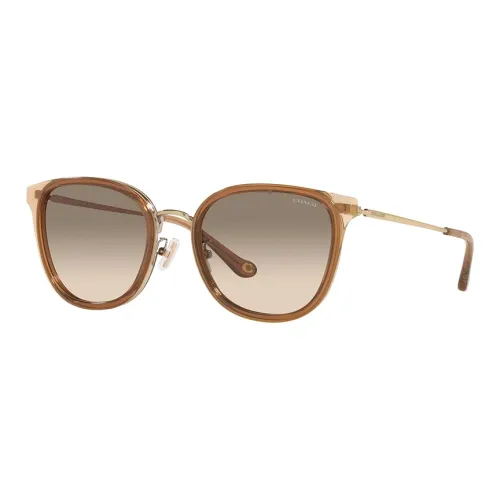COACH Metal Butterfly Sunglasses Unisex Brown