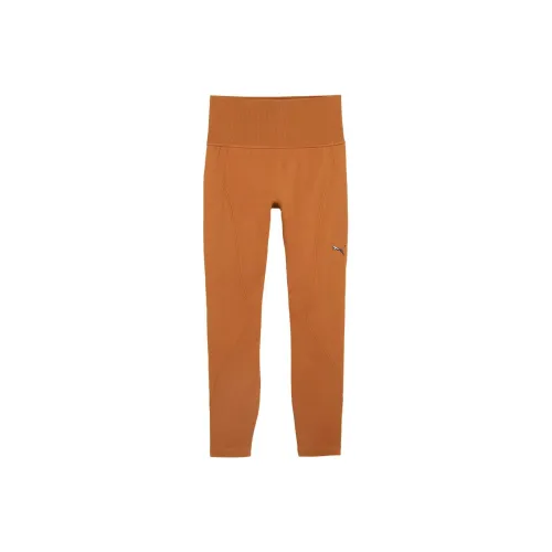PUMA SHAPELUXE SEAMLESS HW FL TIGHTS Sports Pants Women's Teak