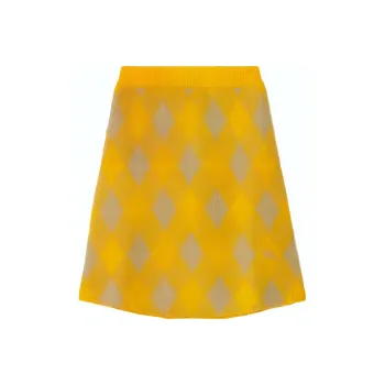 Burberry Check Patterned A Line Skirt