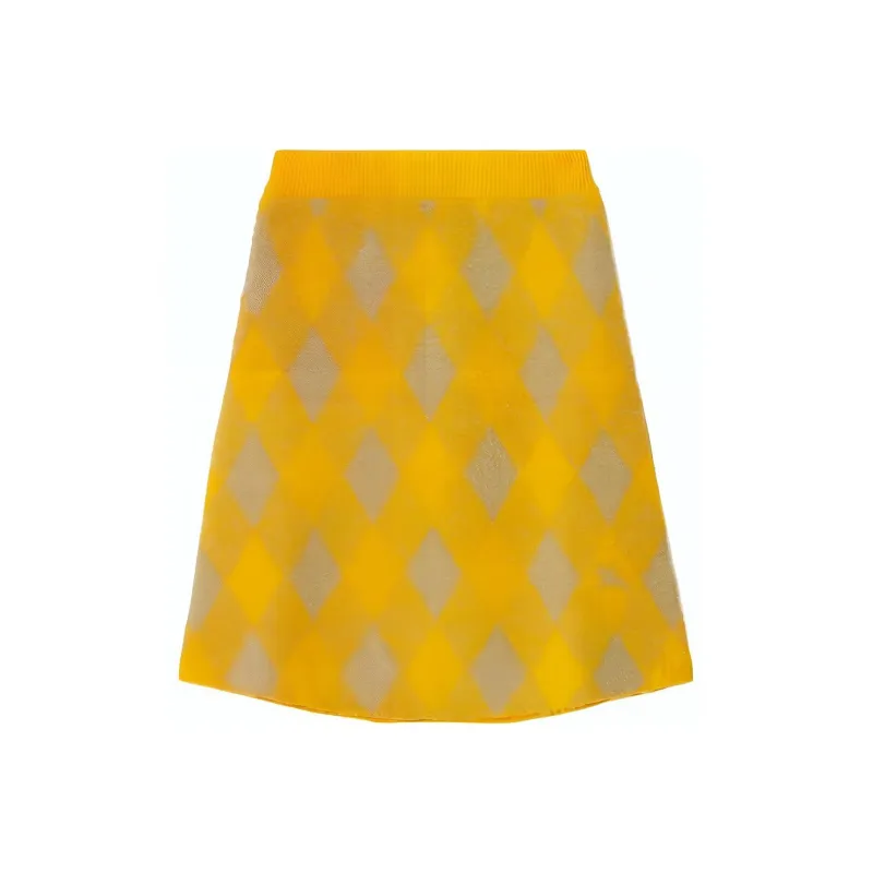 Burberry Check Patterned A Line Skirt-0