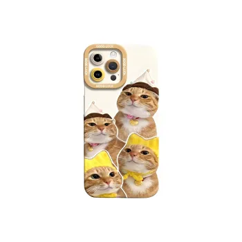 HASEE Phone Cases