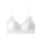 Champagne White