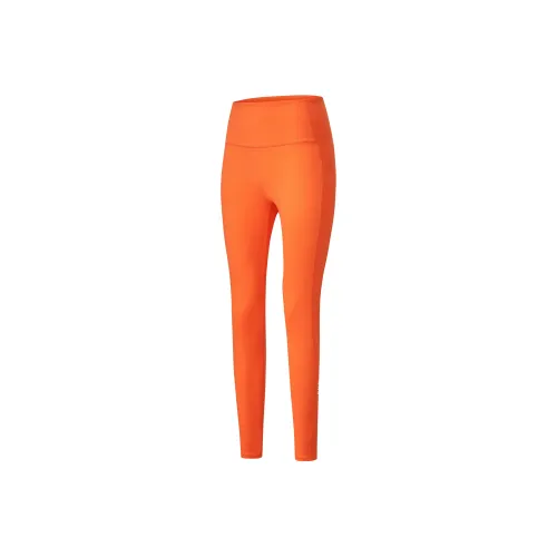Saucony Sports Pants Women's Blue Maple Orange
