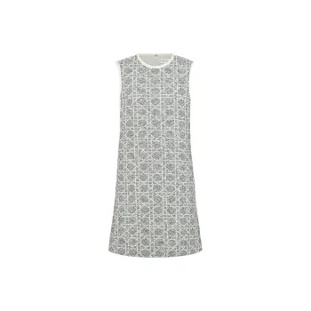 DIOR FW25 Sleeveless Dress Women's Gray
