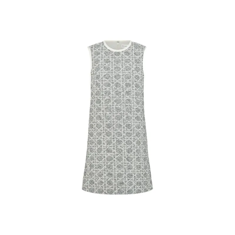 DIOR FW25 Sleeveless Dress Women's Gray-0