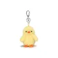 Yellow Chick