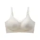 1 Pack (Champagne White)
