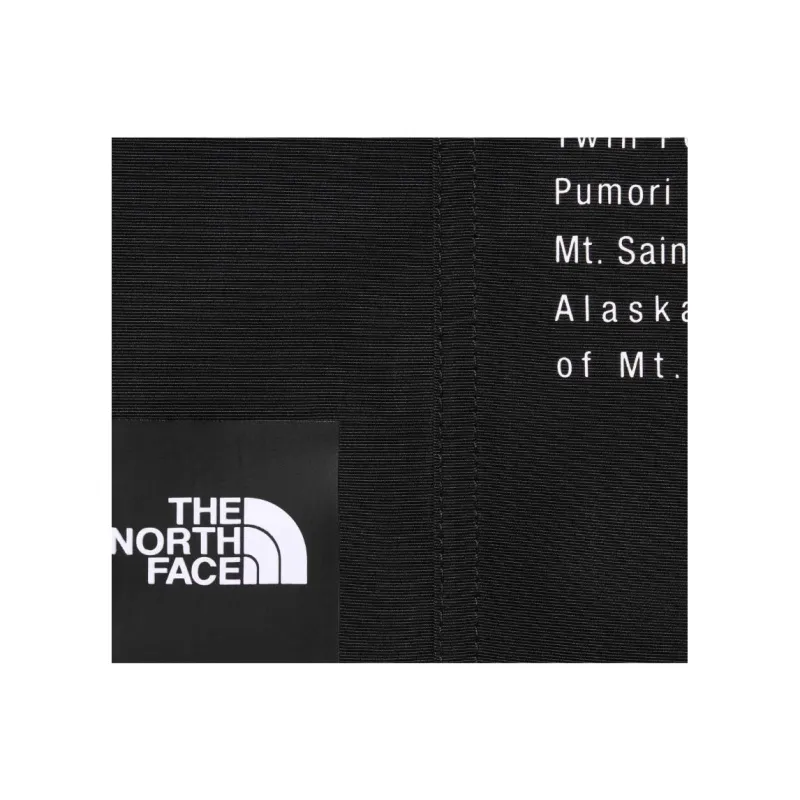 Supreme The North Face Nylon Short-1