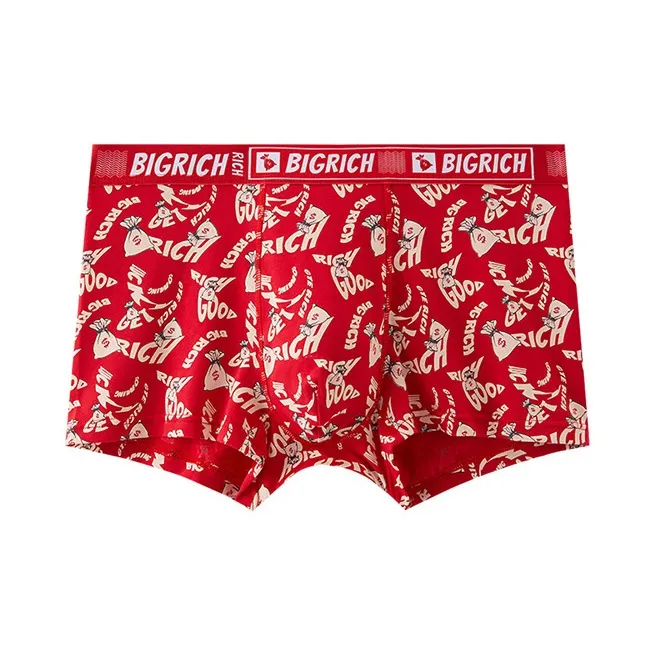 LUYOUYE Underpants Men's 2 Pack-8